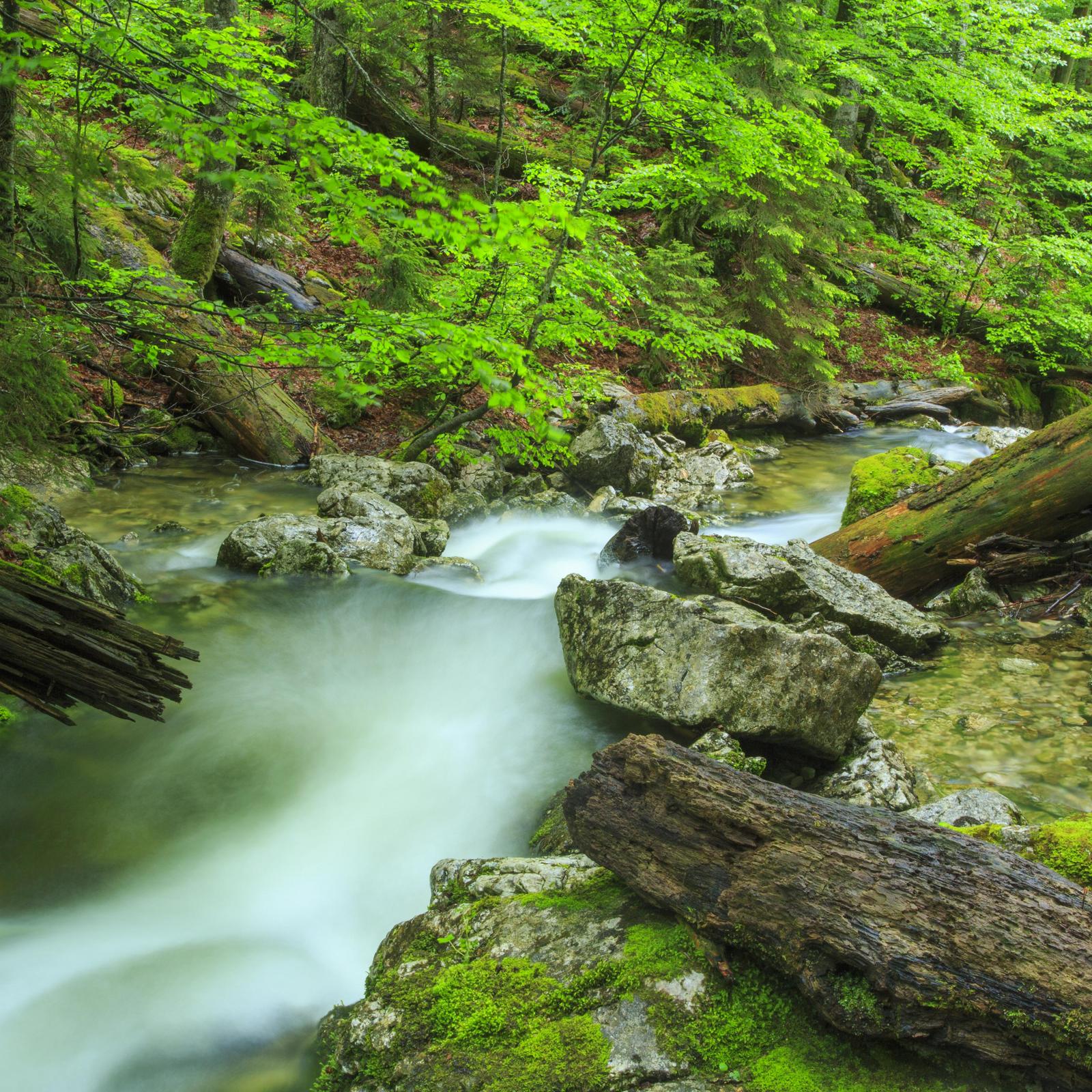 scenic view of a river between rocks
